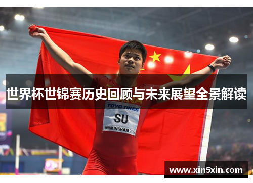 世界杯世锦赛历史回顾与未来展望全景解读