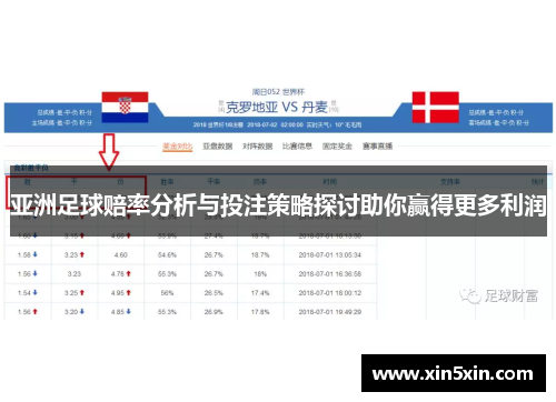 亚洲足球赔率分析与投注策略探讨助你赢得更多利润